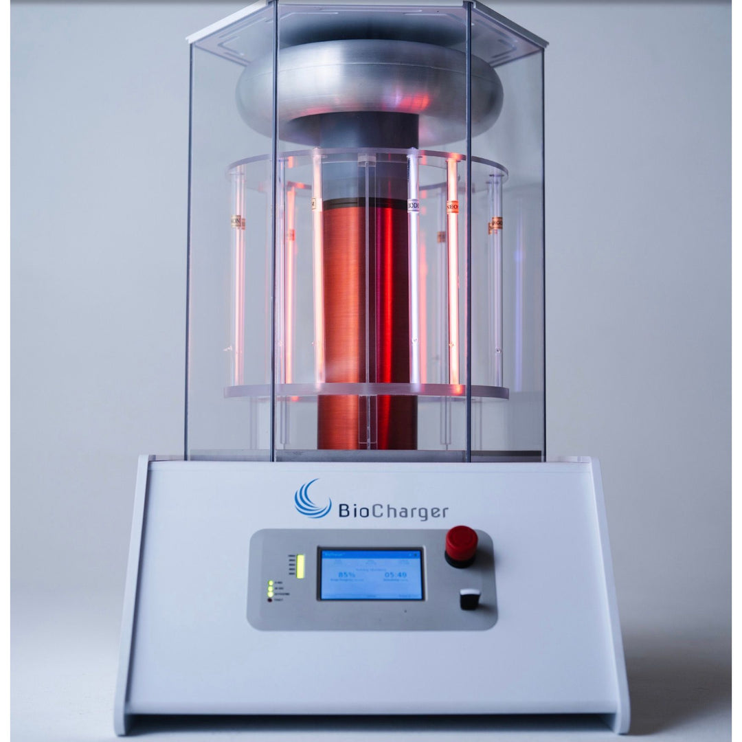 BioCharger Frequency Friday’s