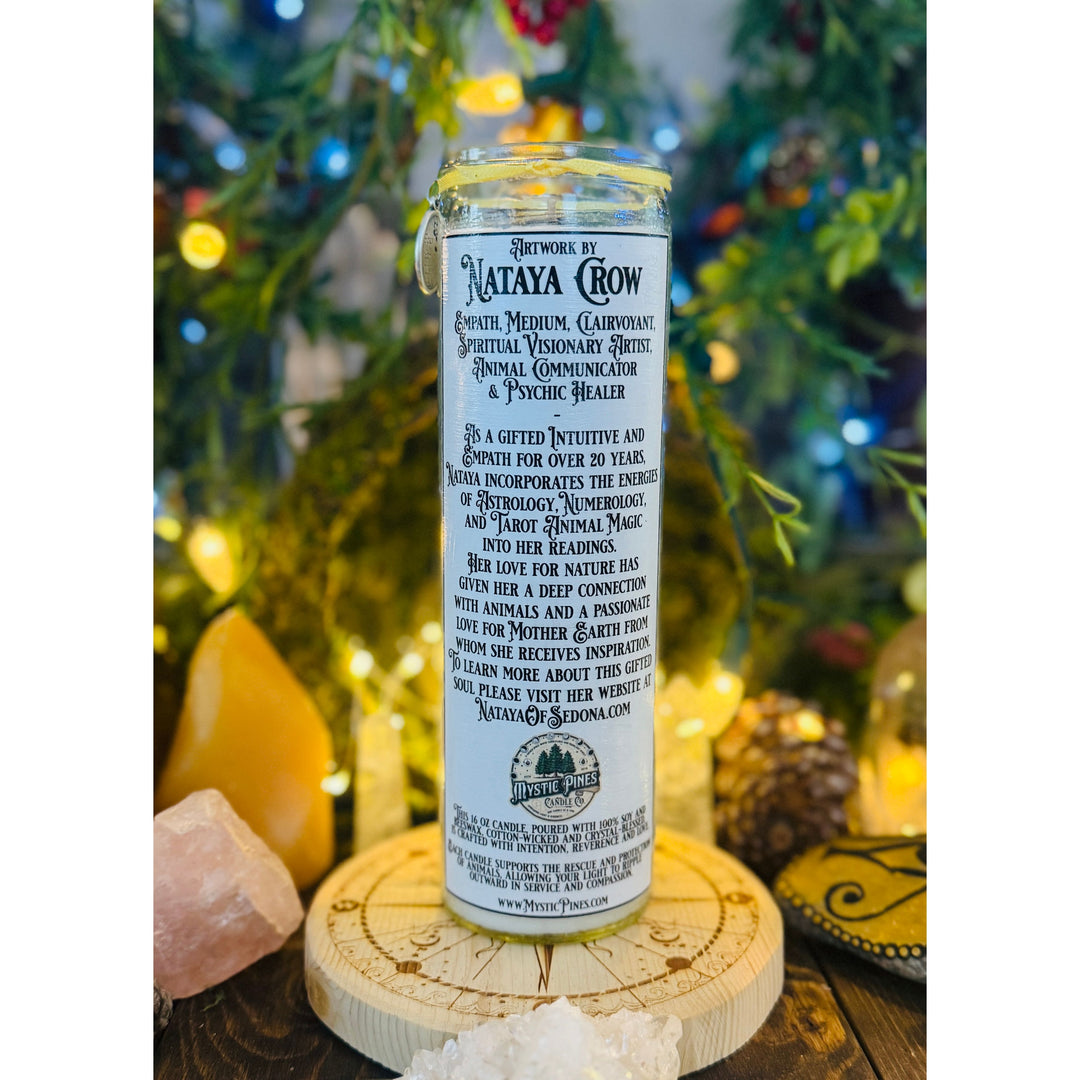 Black Bear ~ Sacred Spirit Companion