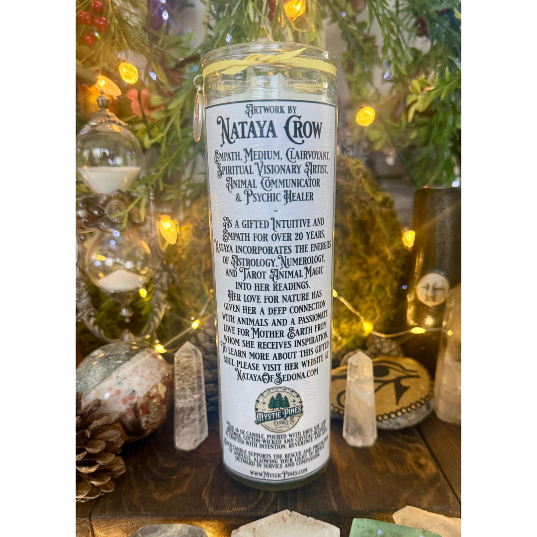 Hawk ~ Sacred Spirit Companion