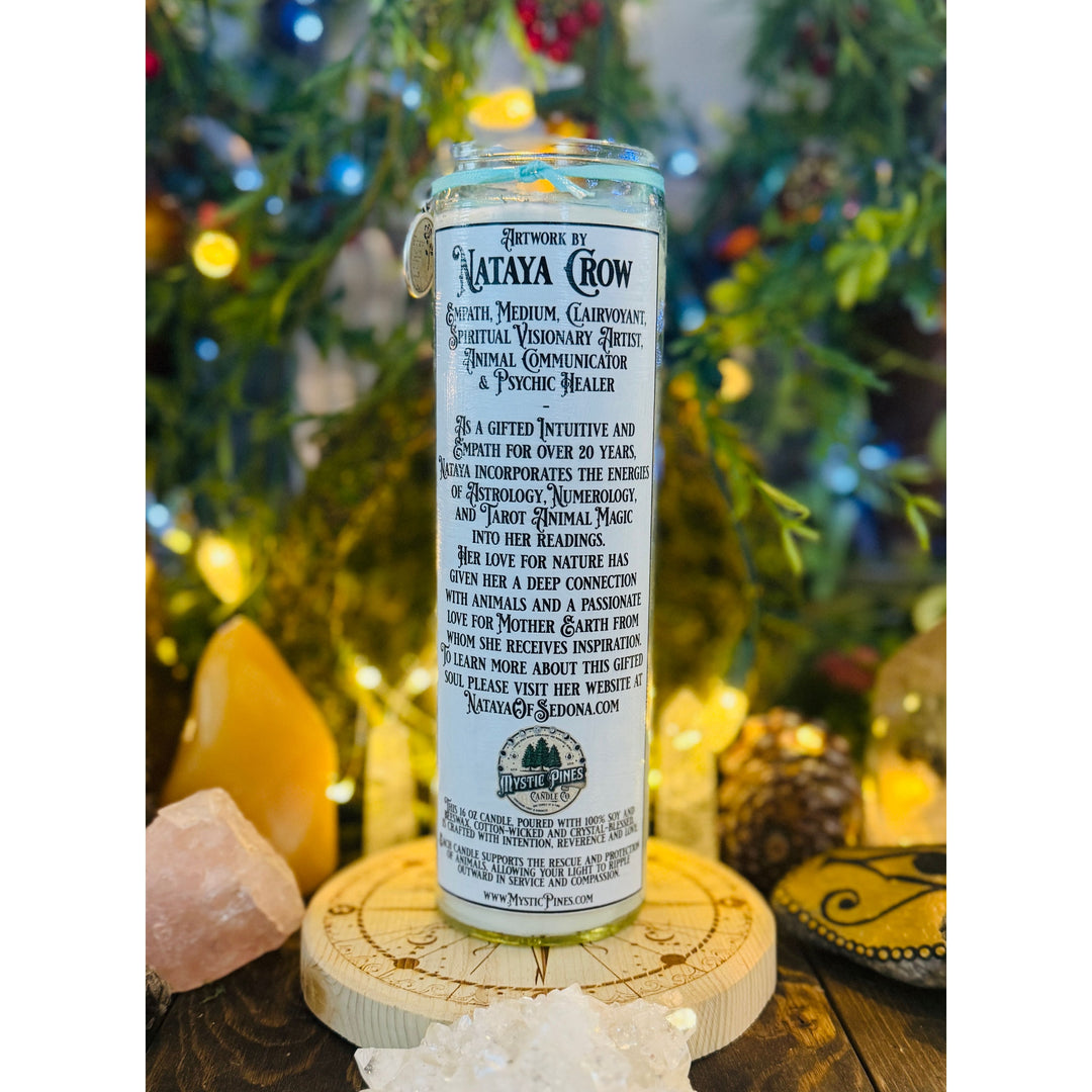 Hummingbird ~ Sacred Spirit Companion