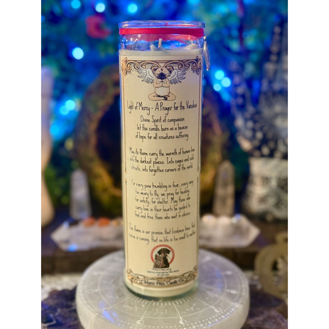 PACC911's Light of Mercy