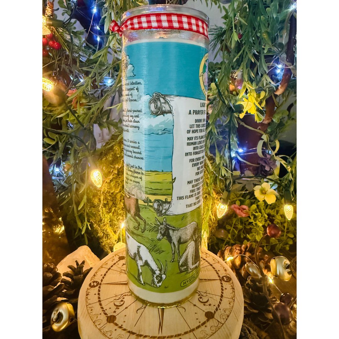 Freed Spirits Animal Rescue ~ Light of Mercy