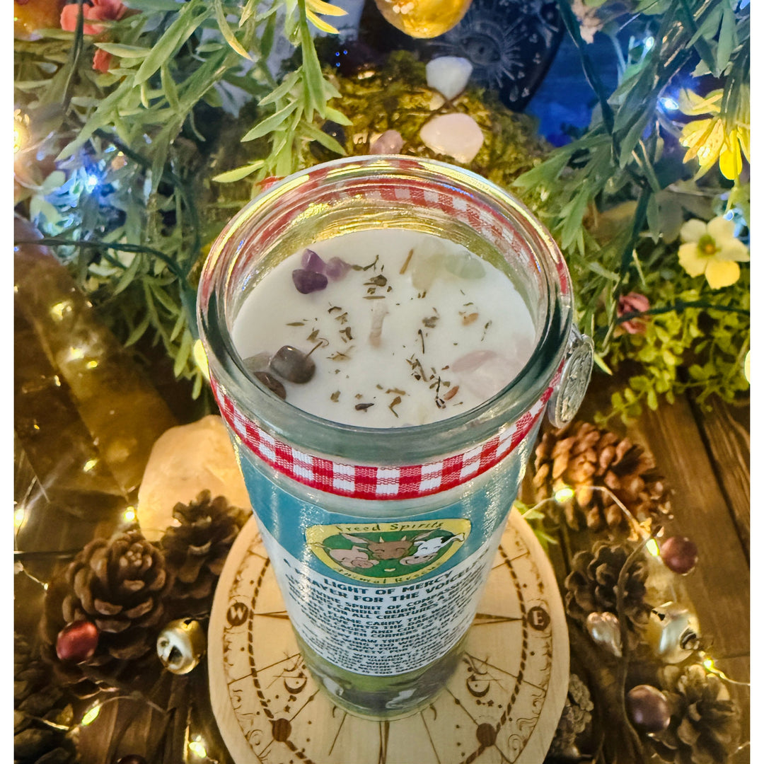 Freed Spirits Animal Rescue ~ Light of Mercy