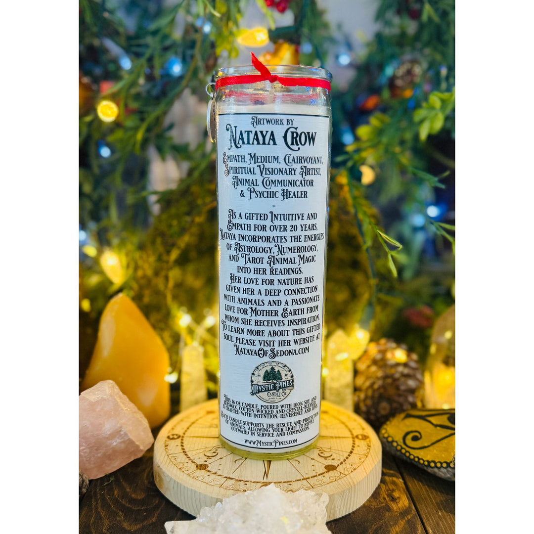 Owl ~ Sacred Spirit Companion