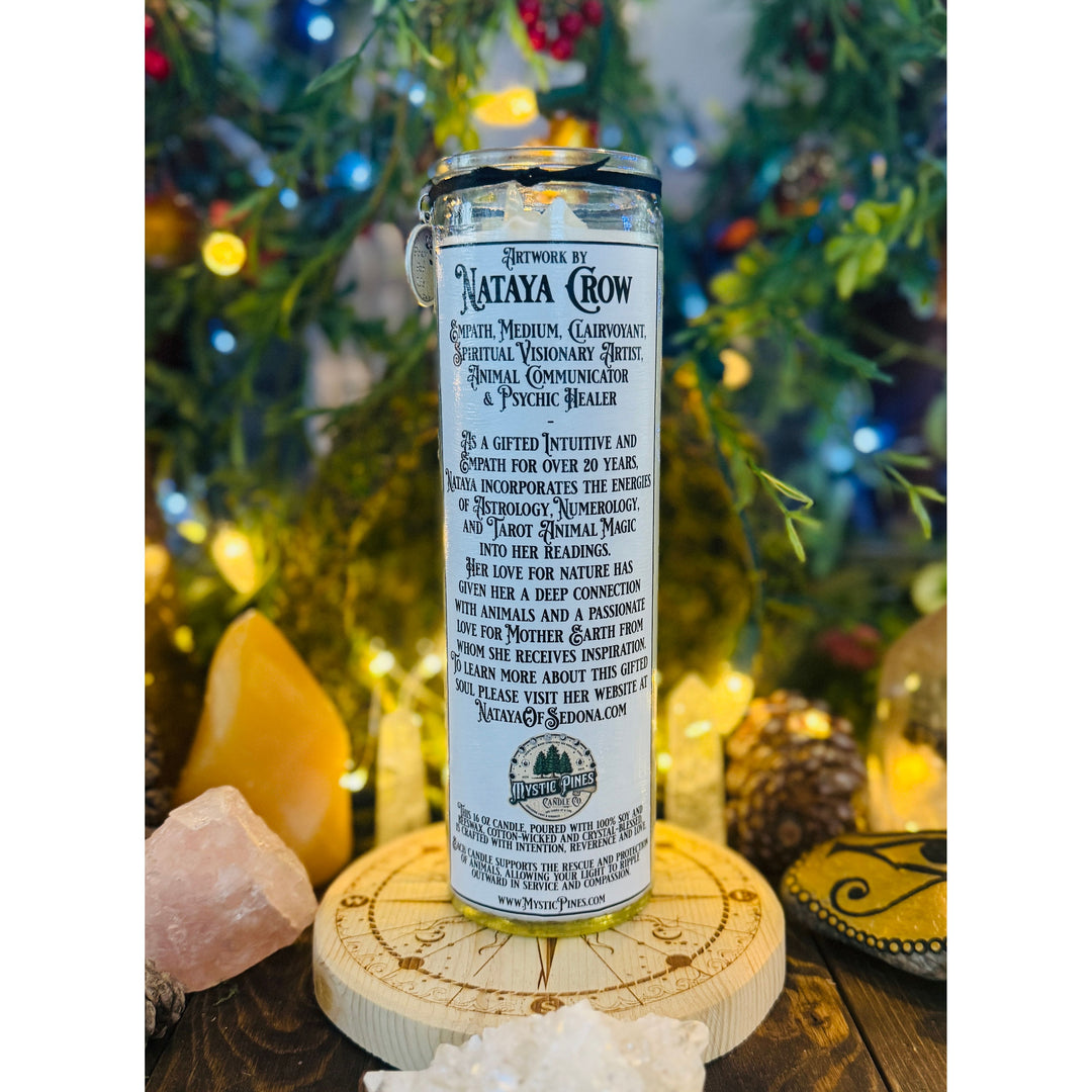 Panther ~ Sacred Spirit Companion