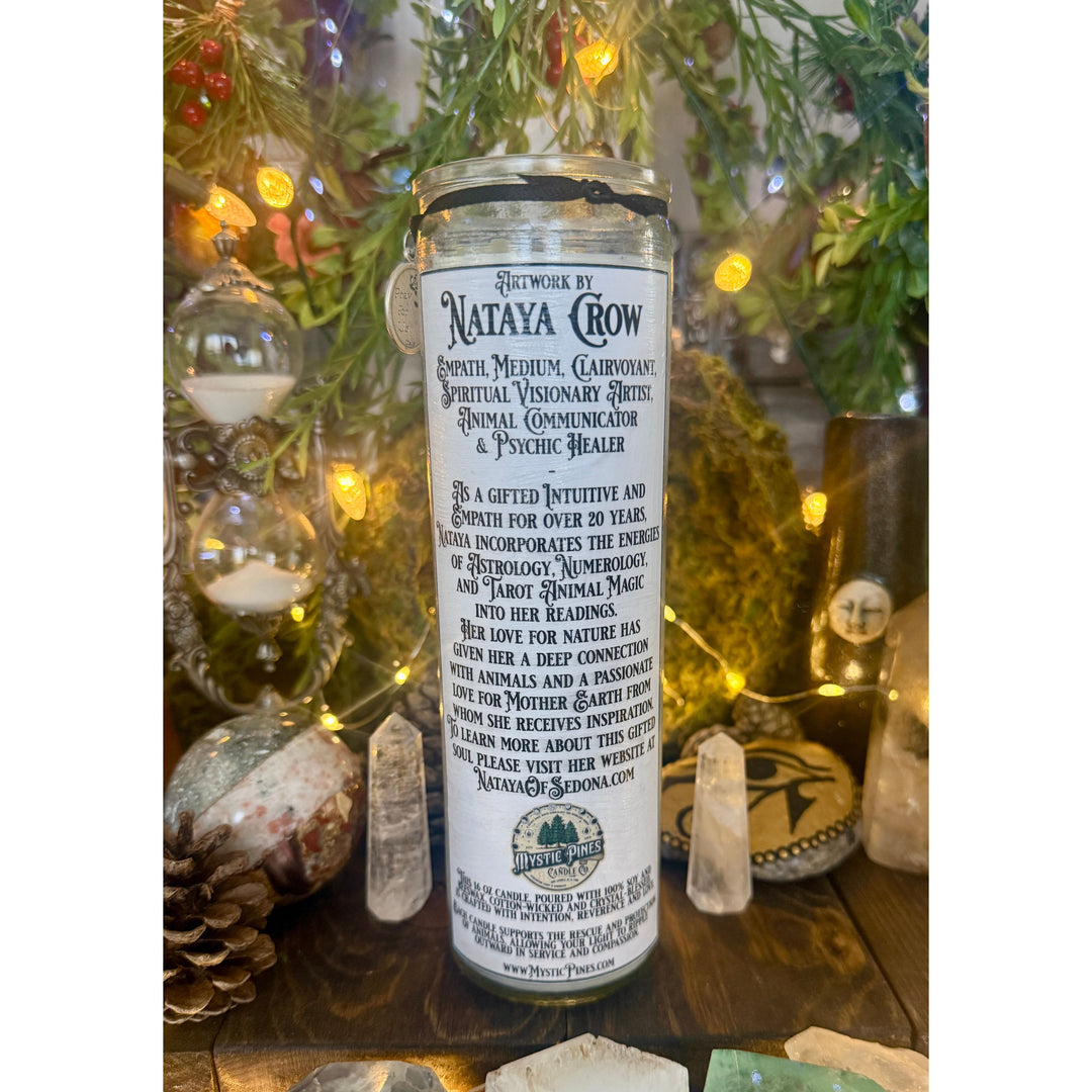 Raven ~ Sacred Spirit Companion