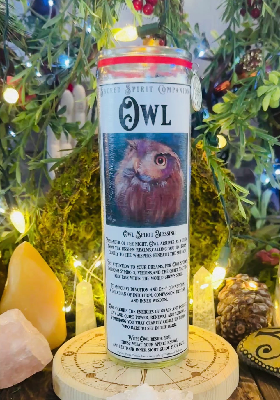 Owl ~ Sacred Spirit Companion