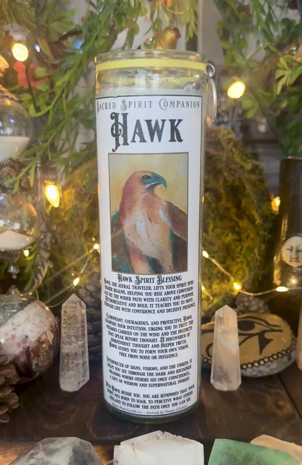 Hawk ~ Sacred Spirit Companion