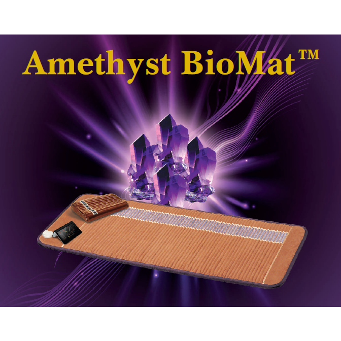 BioMat Sessions