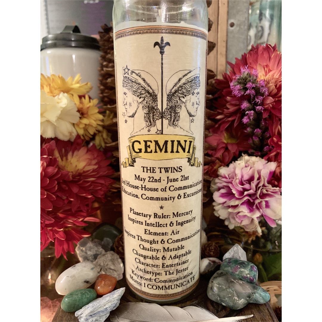 Gemini Horoscope Water Bottle, Home
